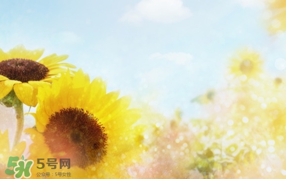 見封滾是什么意思？