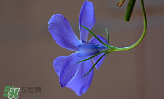 見封滾是什么意思？