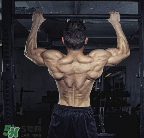 引體向上背部怎么發(fā)力？引體向上發(fā)力技巧
