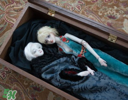 Enchanted Doll多少錢(qián)？Enchanted Doll哪里買(mǎi)？