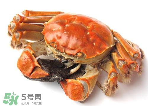 螃蟹里面有寄生蟲嗎？螃蟹有寄生蟲還可以吃嗎？