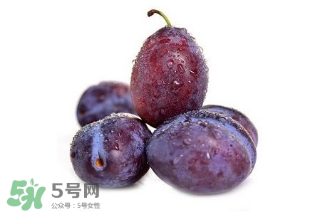 西梅可以放冰箱嗎？西梅放冰箱冷藏還是冷凍？