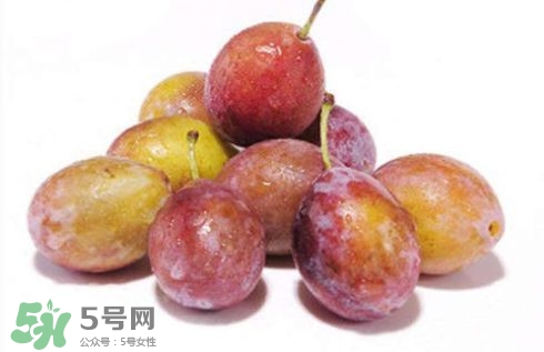 西梅可以放冰箱嗎？西梅放冰箱冷藏還是冷凍？