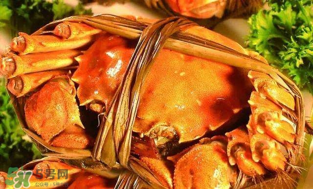 螃蟹吃什么食物長得大？十月份吃什么螃蟹？