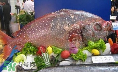 月亮魚是什么魚？月亮魚能吃嗎