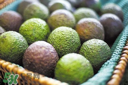 牛油果吃了對子宮好嗎？牛油果對子宮的好處