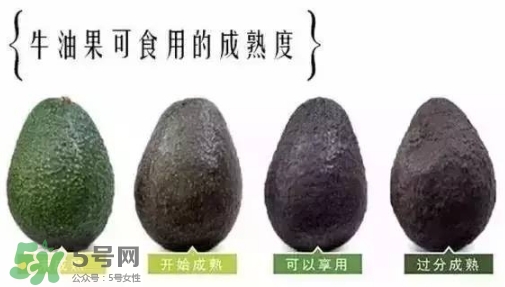 牛油果是什么味道？牛油果是甜的嗎？