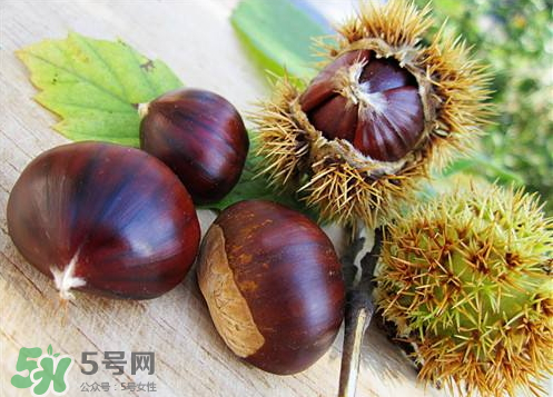 泡板栗酒用什么酒最好？板栗用什么酒泡最好？