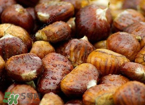 板栗泡酒真的能壯陽(yáng)嗎？板栗泡酒有什么功效？