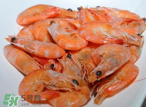 水煮蝦用什么蝦？水煮蝦要放鹽嗎？