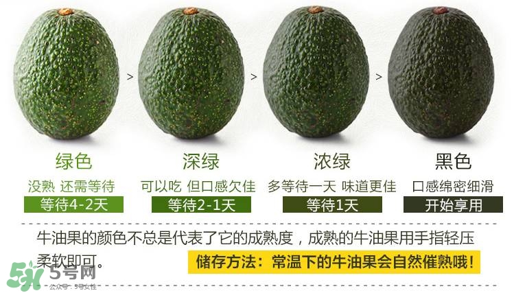 牛油果生的能吃嗎？牛油果怎么催熟快？