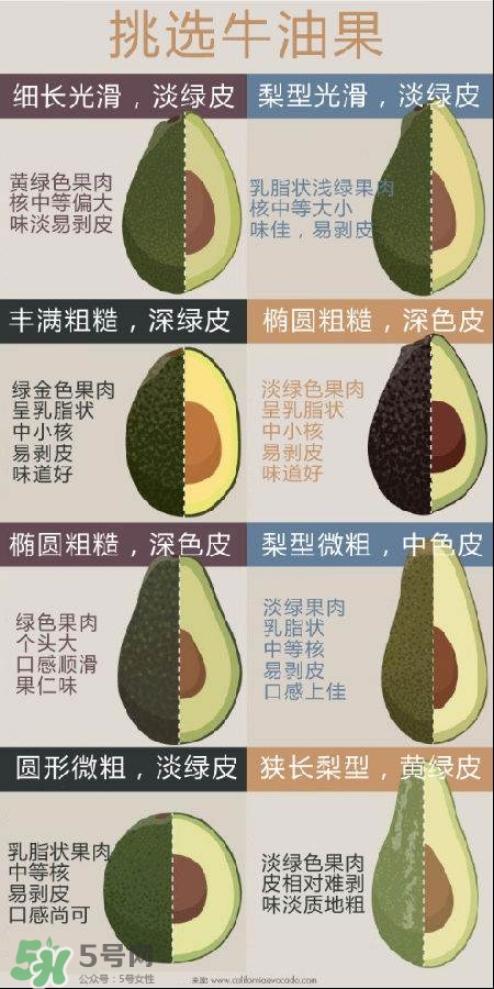 牛油果怎么挑選？牛油果多少錢一斤？