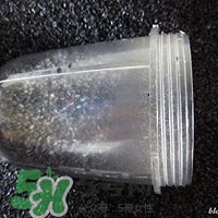 核桃粉怎么做？核桃粉的功效與作用