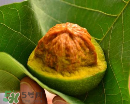 青皮核桃可以冷凍嗎？青皮核桃可以冷藏嗎？