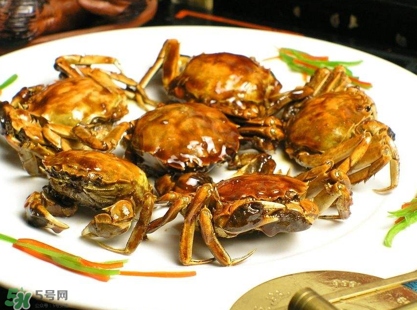 哪種螃蟹肉多？哪種螃蟹最好吃？
