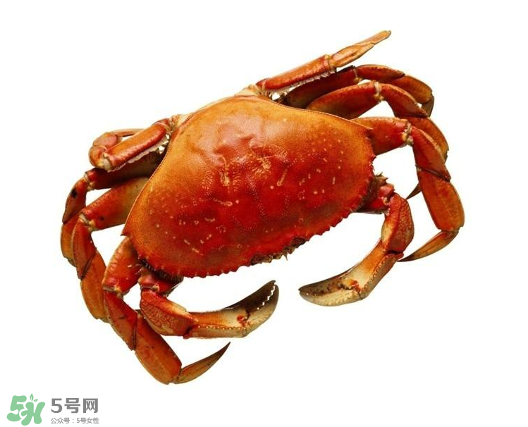 哪種螃蟹不能吃？什么樣的螃蟹不能吃？