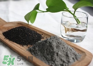 核桃粉寶寶可以吃嗎？寶寶幾個月可以吃？