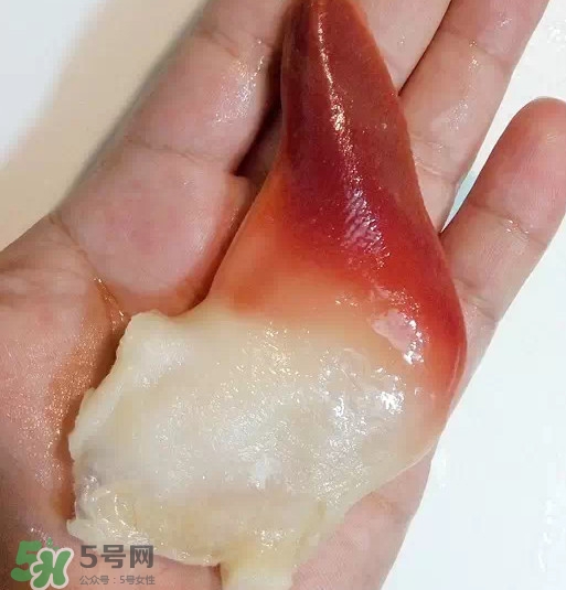 北極貝多少錢(qián)一斤？北極貝長(zhǎng)什么樣子