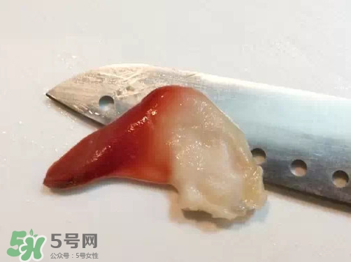 北極貝多少錢(qián)一斤？北極貝長(zhǎng)什么樣子