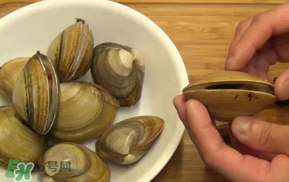北極貝多少錢(qián)一斤？北極貝長(zhǎng)什么樣子