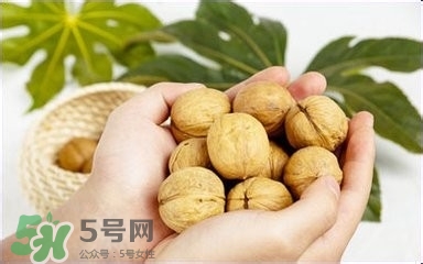 核桃怎么挑選好壞？怎么辨別核桃的好壞？