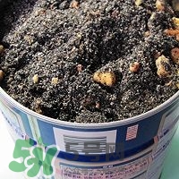 核桃粉怎么做？核桃粉的功效與作用