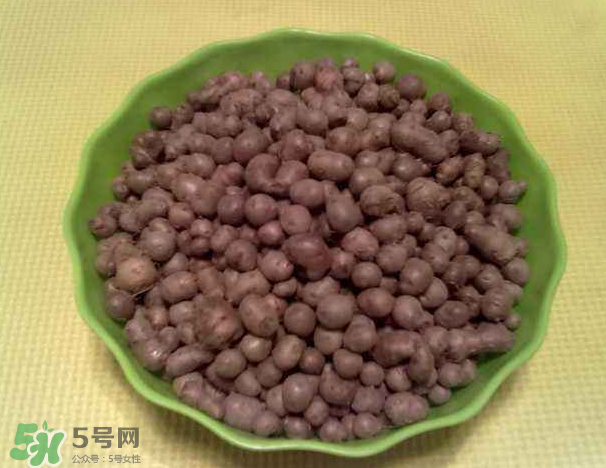 山藥豆是什么東西？山藥豆是長在土里嗎？