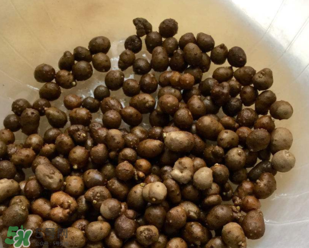山藥豆能生吃嗎？山藥豆能帶皮吃嗎？