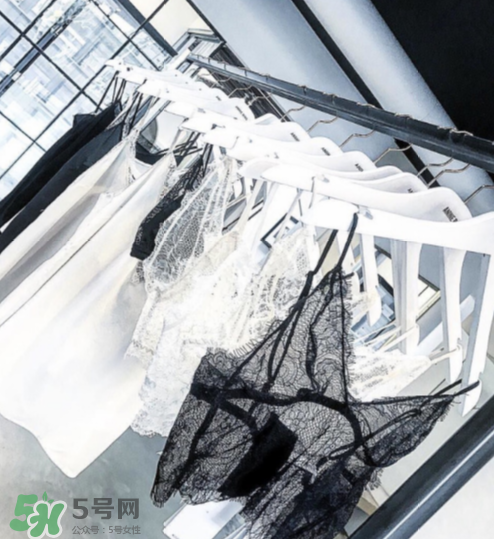 anine bing是什么牌子？anine bing是什么檔次？