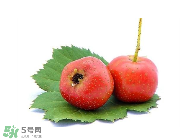 山楂和菊花能一起泡水喝嗎？