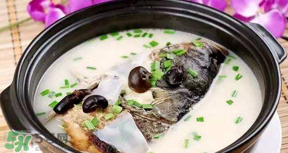 怎樣吃魚最有營養(yǎng)？喝魚湯會致高脂血癥嗎？