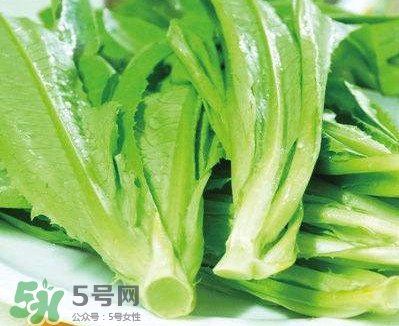 萵苣葉能吃嗎？萵苣葉和油麥菜有什么區(qū)別