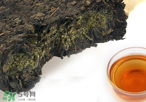 茯茶是熱性還是涼性？茯茶是不是放越久越好？