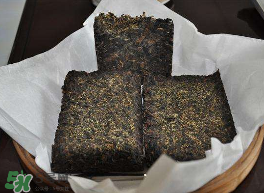 茯茶是熱性還是涼性？茯茶是不是放越久越好？