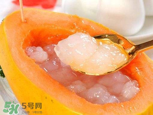 如何分辨雪蛤真假？挑雪蛤的方法
