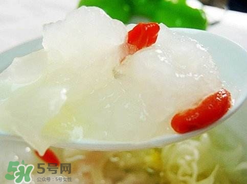 雪蛤膏是啥？雪蛤膏的功效與作用