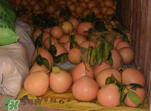 三紅蜜柚怎么儲(chǔ)藏保鮮？三紅蜜柚苗哪里可以買(mǎi)到