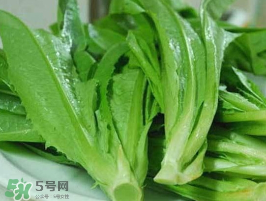 孕婦能吃涼拌萵苣葉嗎？萵苣葉煮水可以治蕁麻疹嗎