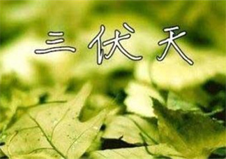 為什么三伏天最熱？如何過好三伏天？