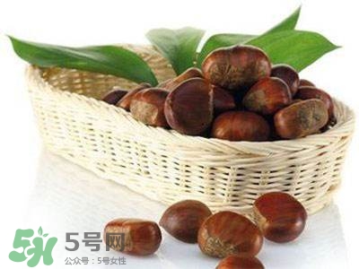 板栗酒能治療腎陽虛嗎？板栗泡酒真的能壯陽嗎？