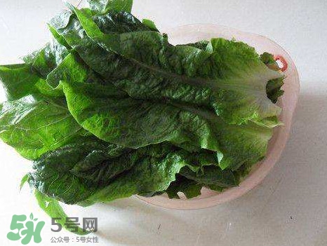 孕婦能吃涼拌萵苣葉嗎？萵苣葉煮水可以治蕁麻疹嗎