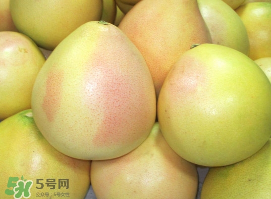 三紅蜜柚什么時(shí)候種植？三紅蜜柚什么時(shí)候成熟