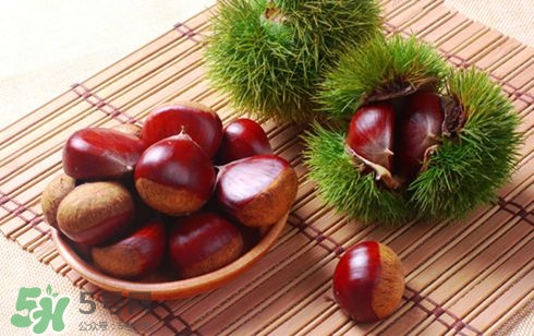 板栗酒能治療腎陽虛嗎？板栗泡酒真的能壯陽嗎？