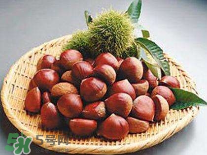 板栗酒能治療腎陽虛嗎？板栗泡酒真的能壯陽嗎？