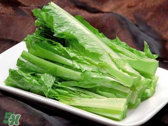 萵苣葉能吃嗎？萵苣葉和油麥菜有什么區(qū)別