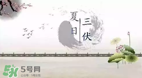 三伏天練什么？三伏天具體怎么養(yǎng)生？