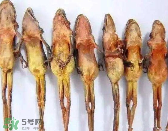 雪蛤干多少錢一斤？雪蛤干怎么吃？