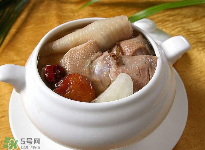 花膠可以放多久？花膠可以放冰箱嗎？