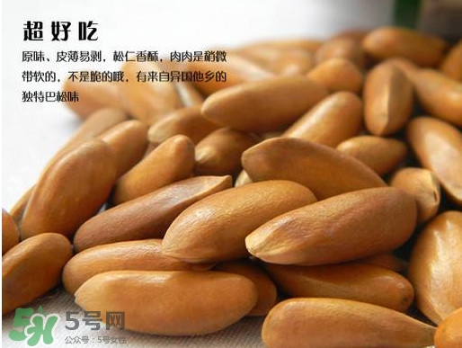 松籽過期還能吃嗎？松籽出芽是怎么回事