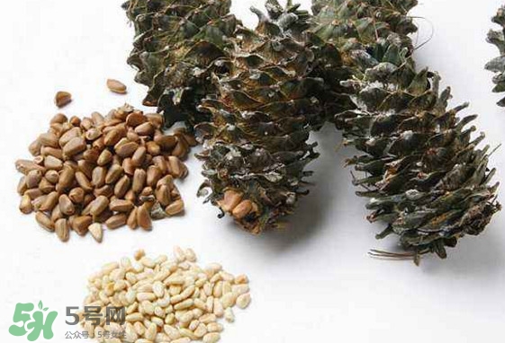 松子是松樹的果實(shí)嗎？松子是酸性還是堿性